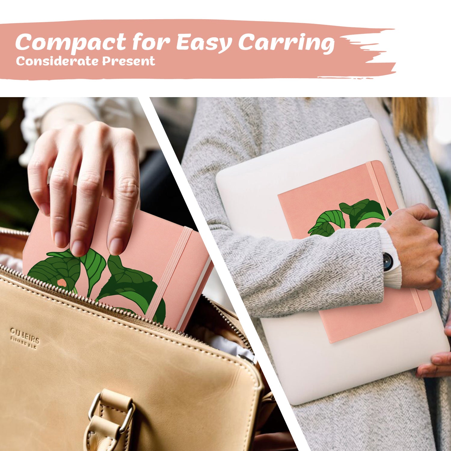 Plant Paint by Numbers Notebook - Shrimp Plant Free Shipping - Paintarthub