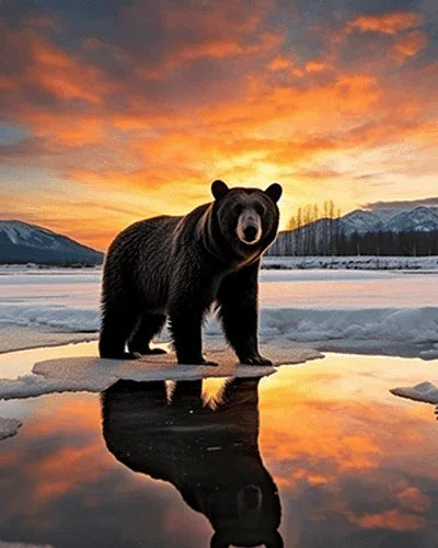 Bear in Snowy Field Paint by Numbers for Adults by Paintarthub