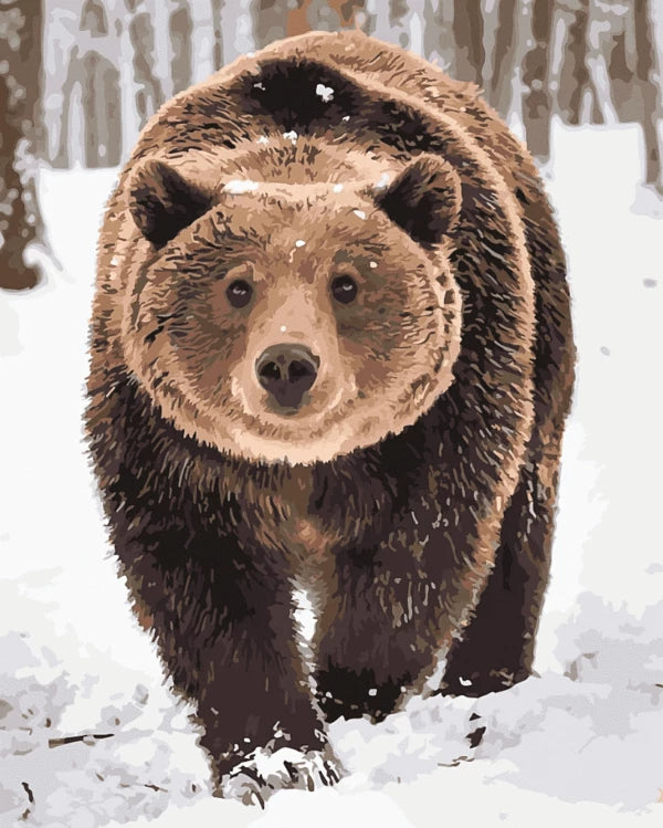 Brown Bear in the Snow Paint by Numbers