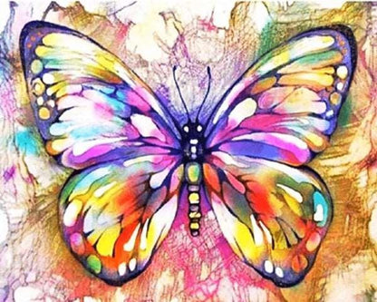 Colorful Butterfly Paint by Number for Adults by Paintarthub