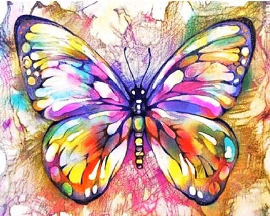 Colorful Butterfly Paint by Number for Adults by Paintarthub