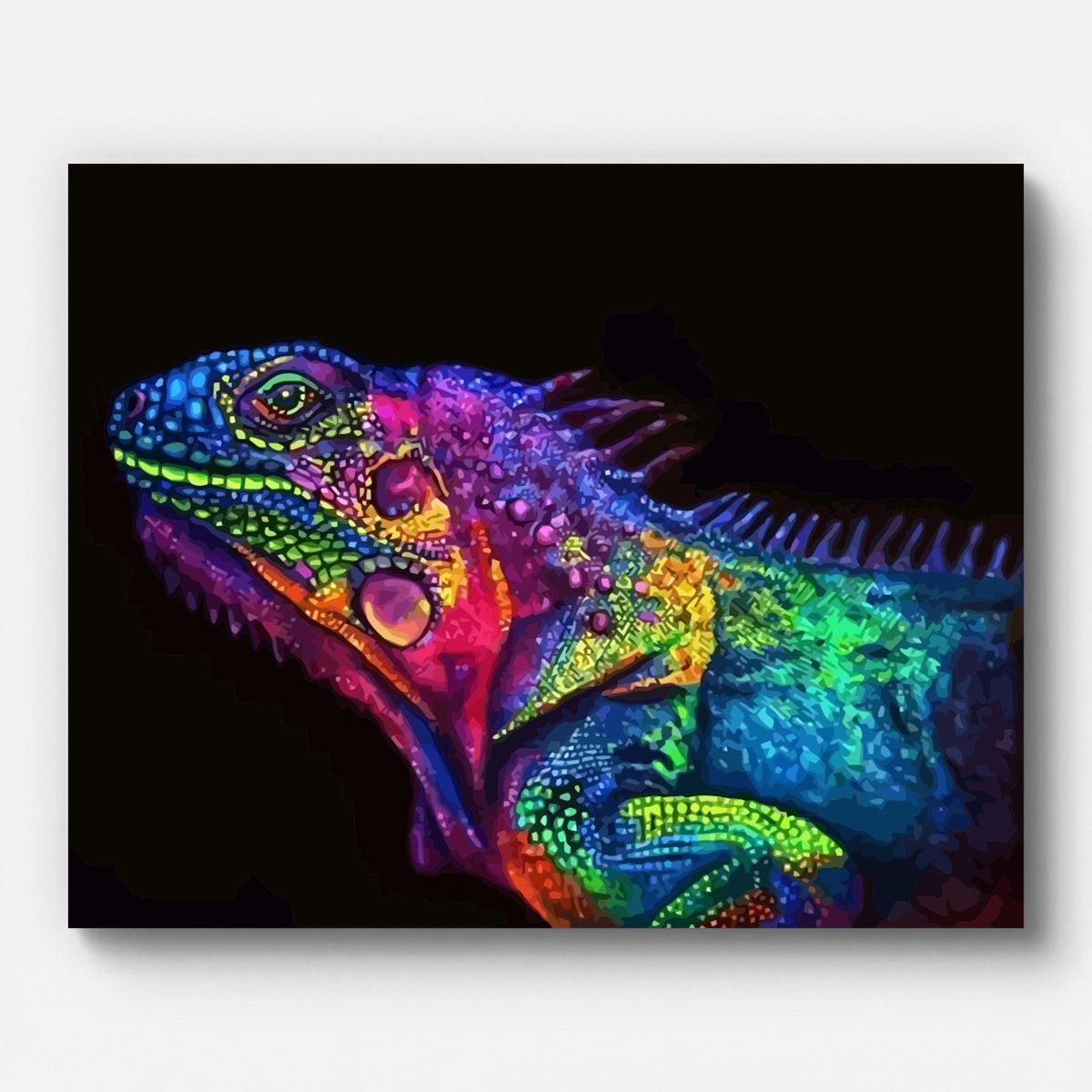 Colorful Chameleon Paint by Numbers for Adults by Paintarthub - Finished Wall Art