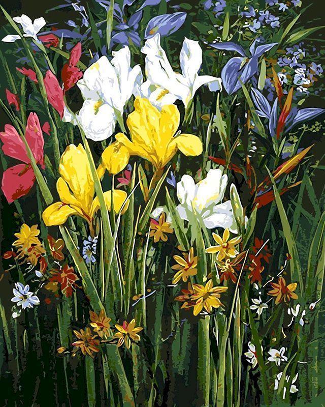 Colorful Field of Flowers Paint by Numbers for Adults by Paintarthub