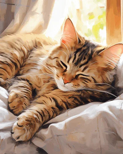 Content Cat in The Afternoon Paint by Numbers for Adults by Paintarthub