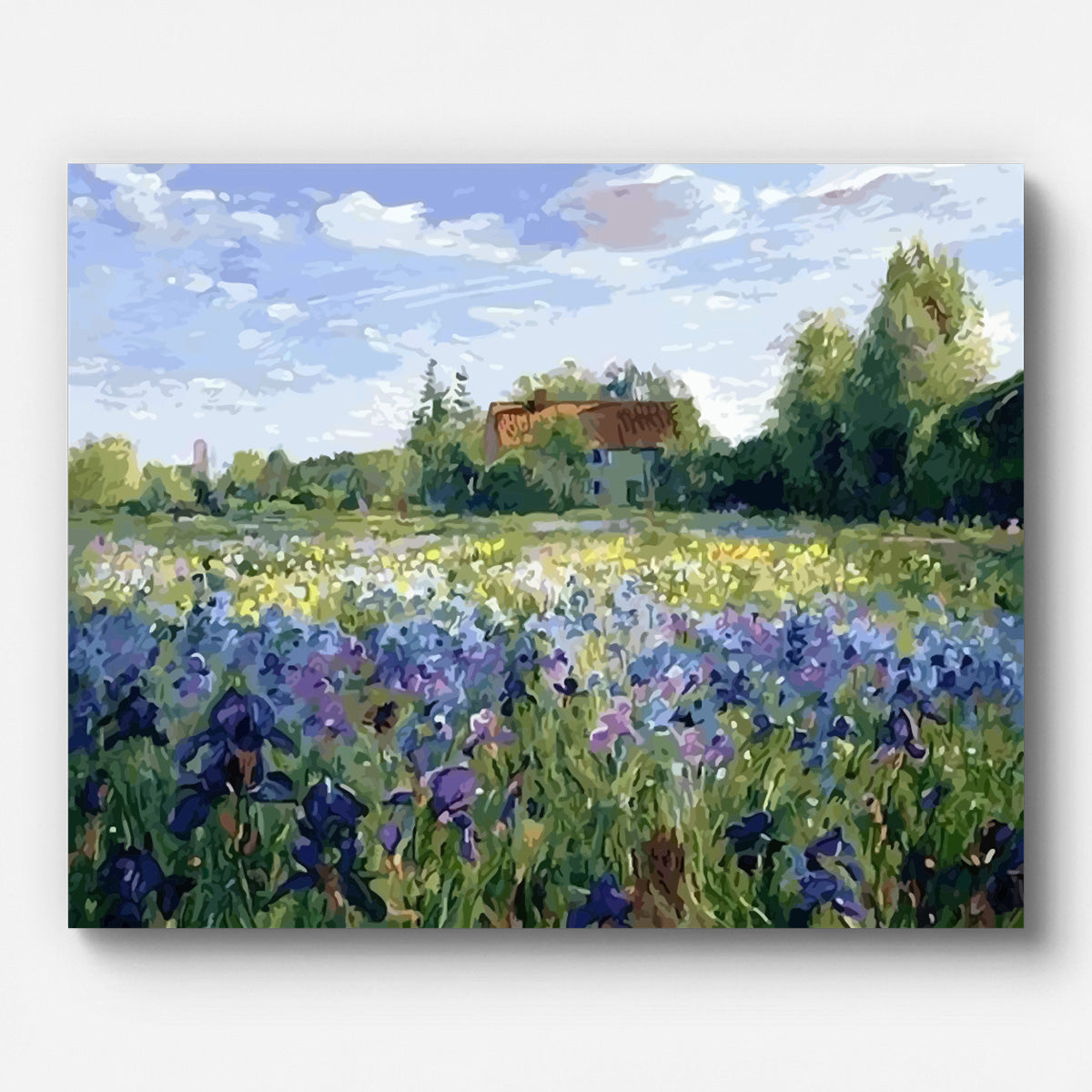 Countryside Field Paint by Numbers for Adults by Paintarthub - Finished Wall Art