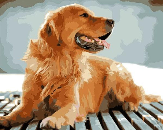 Dog Golden Retriever Paint by Numbers for Adults by Paintarthub