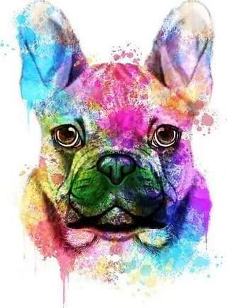 Dog Portrait in Color Paint by Number for Adults by Paintarthub