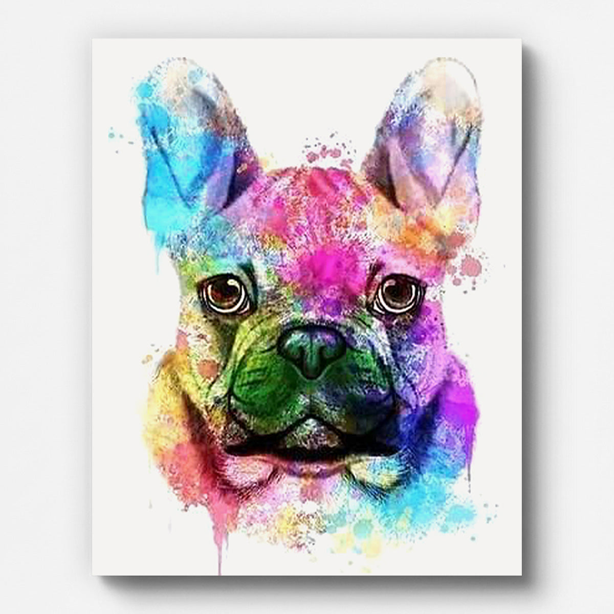Dog Portrait in Color Paint by Numbers for Adults by Paintarthub - Finished Wall Art