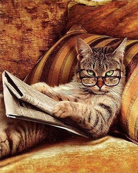 Don‘t Mess with This Cat for Adults by Paintarthub