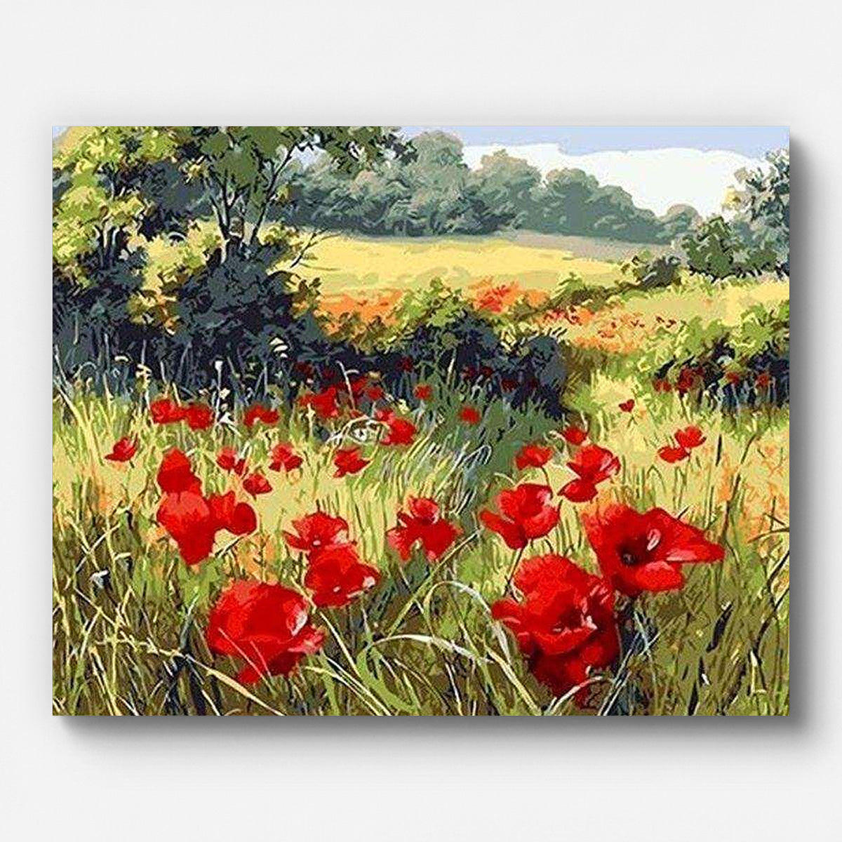 Field of Poppies Paint by Numbers for Adults by Paintarthub - Finished Wall Art