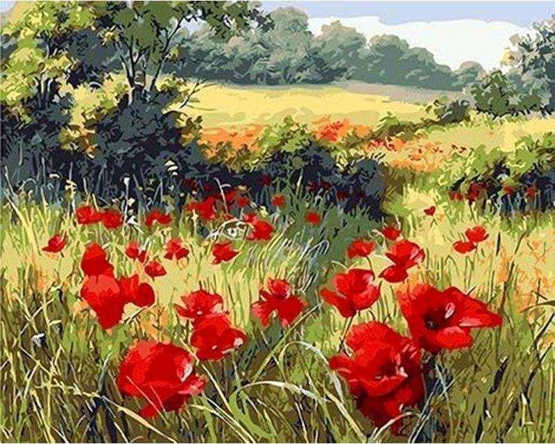 Field of Poppies Paint by Numbers for Adults by Paintarthub