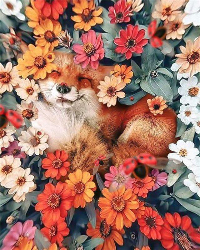 Fox Relaxing in The Flowers Paint by Number for Adults by Paintarthub