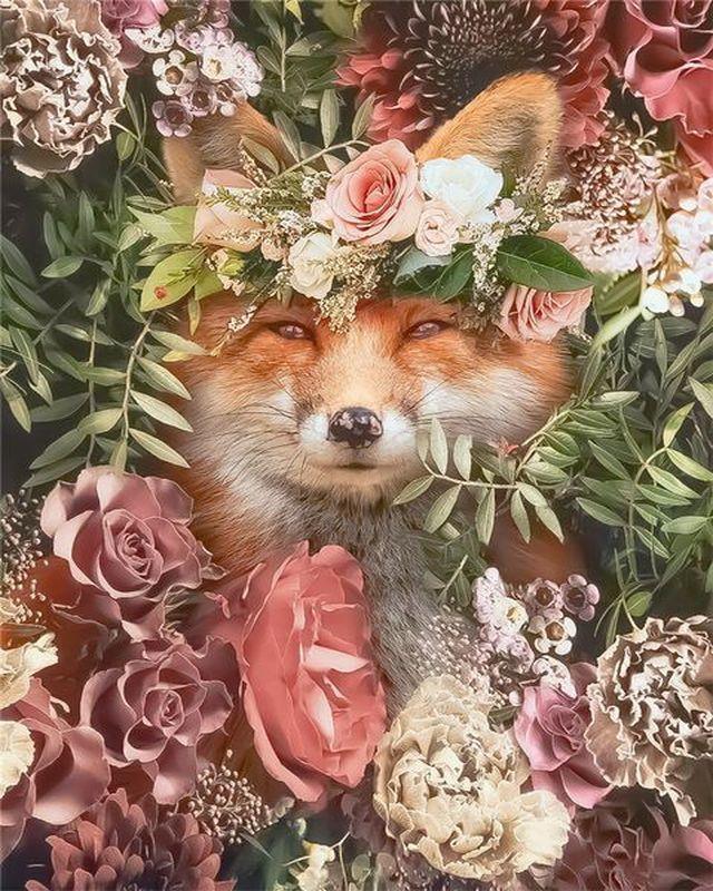Fox and Flowers Paint by Numbers for Adults by Paintarthub