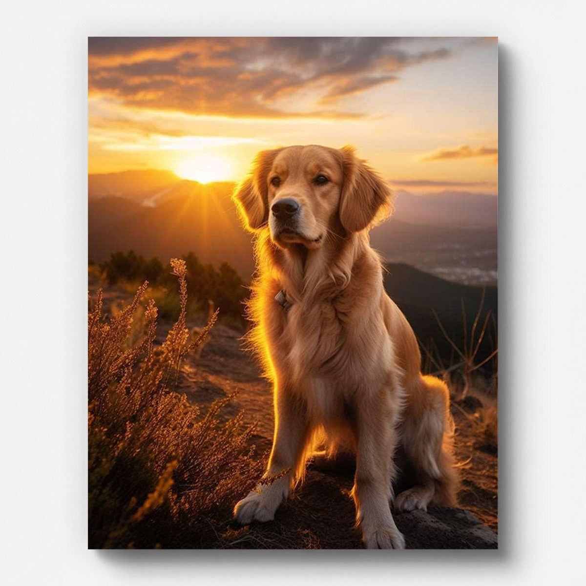 Golden Retriever in the Sunset Paint by numbers for Adults by Paintarthub - Finished Wall Art