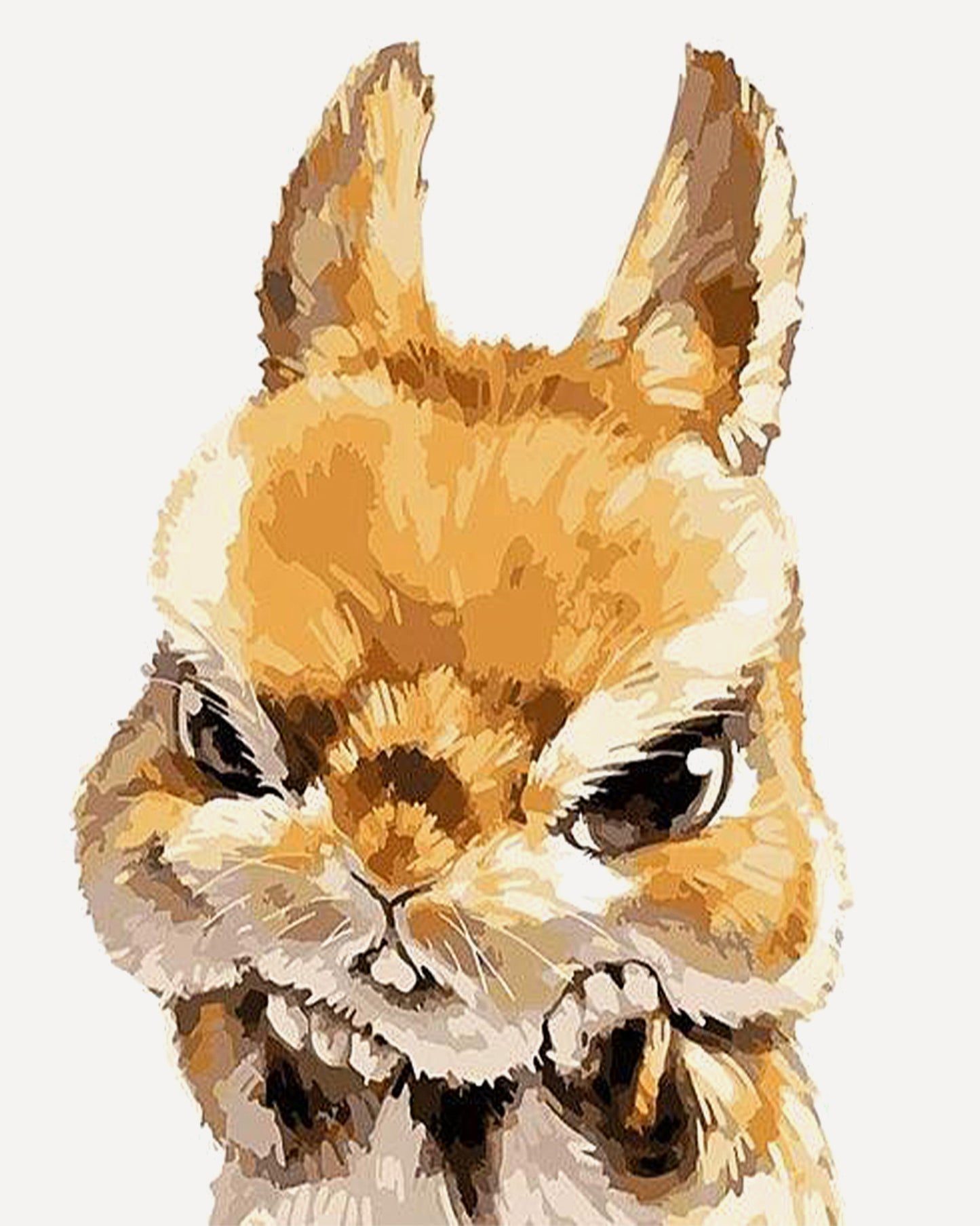 Grumpy Rabbit Paint by Numbers for Adults by Paintarthub
