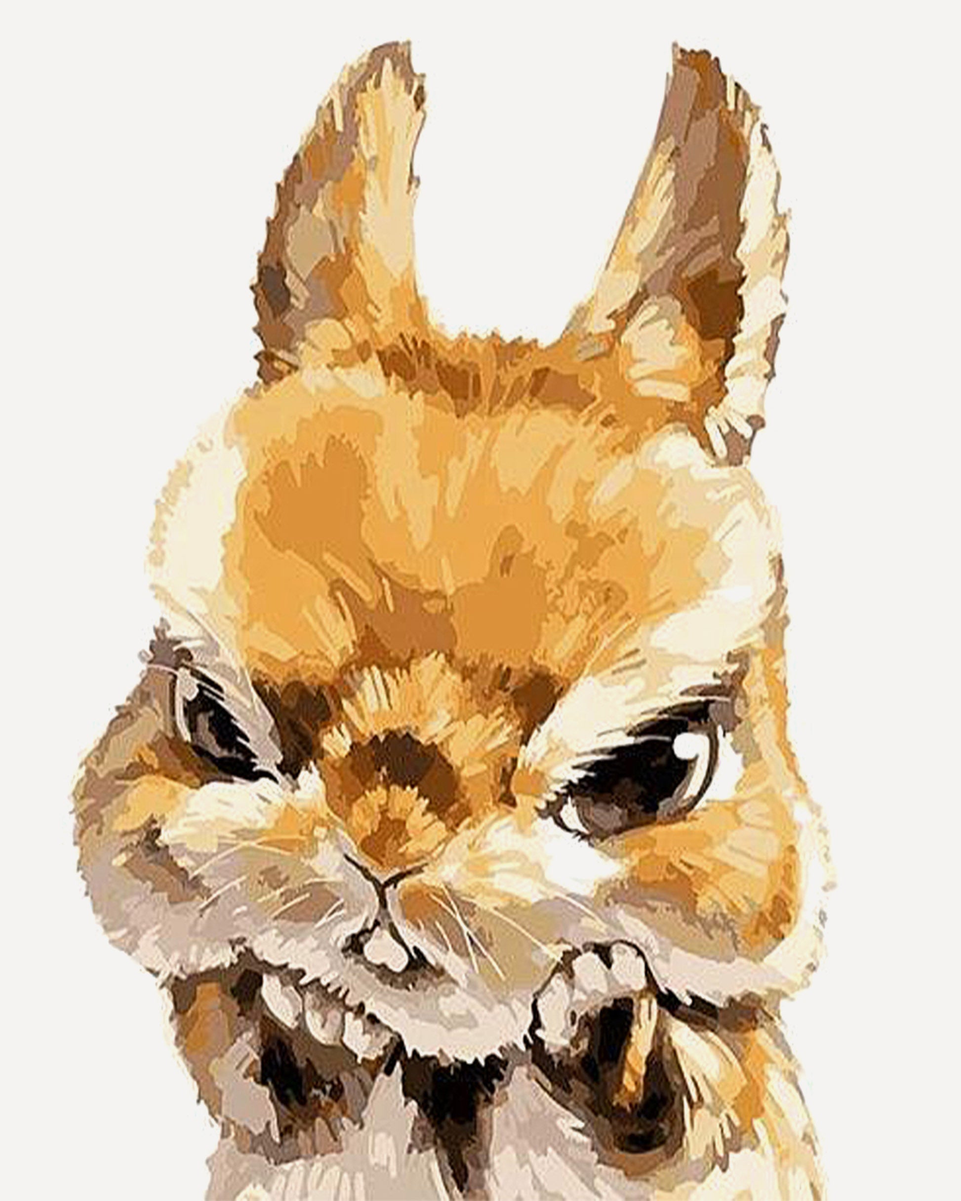 Grumpy Rabbit Paint by Numbers for Adults by Paintarthub