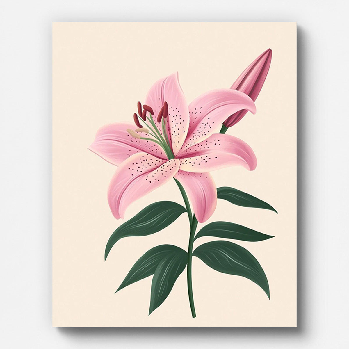 Pink Lily Paint by Numbers for Adults by Paintarthub - Finished Wall Art