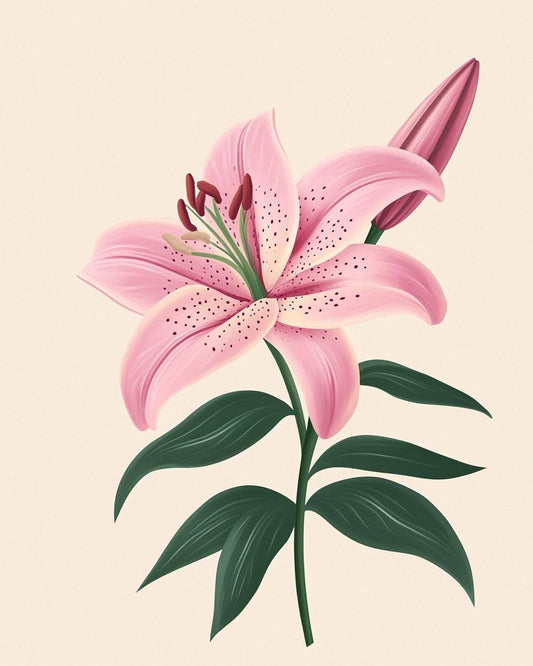 Pink Lily Paint by Numbers for Adults by Paintarthub