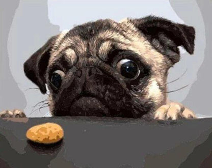 Pug and Biscuit Paint by Numbers for Adults by Paintarthub