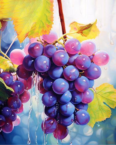 Purple Grapes Paint by Numbers for Adults by Paintarthub