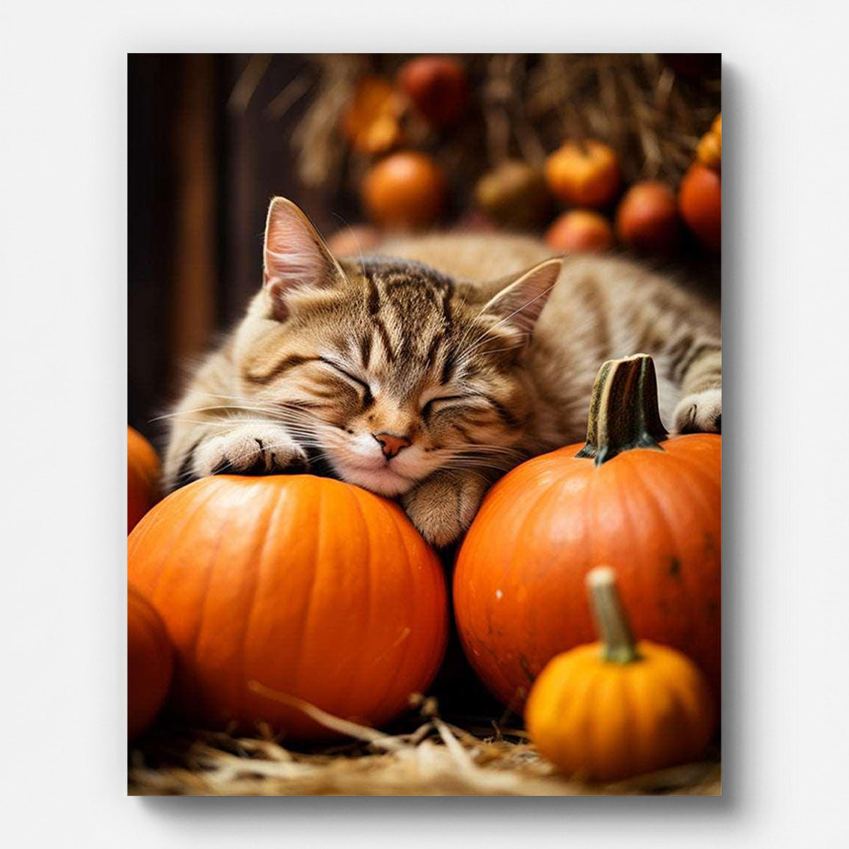 Sleeping Cat on Pumpkins Paint by Numbers for Adults by Paintarthub - Finished Wall Art