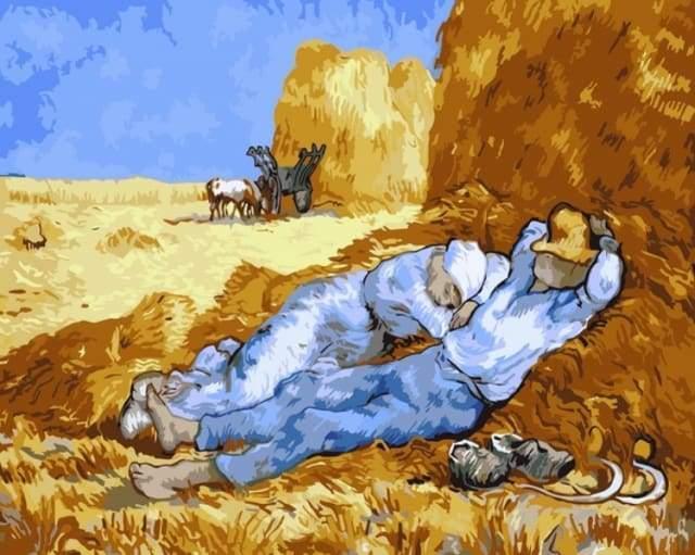 Van Gogh Field Paint by Numbers for Adults by Paintarthub