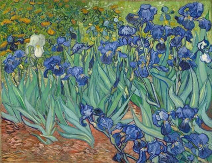 Van Gogh Irises Paint by Numbers for Adults by Paintarthub