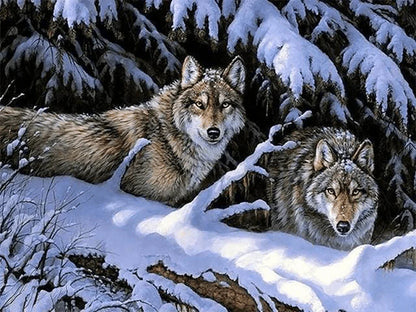 Wolves in Snow Paint by Numbers for Adults by Paintarthub