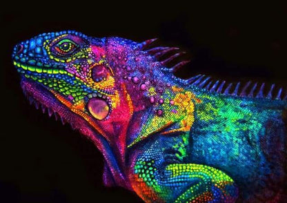 Colorful Chameleon Paint by Number Free Shipping - Paintarthub