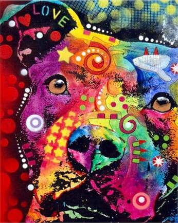 Colorful Dog Paint by Number Free Shipping - Paintarthub