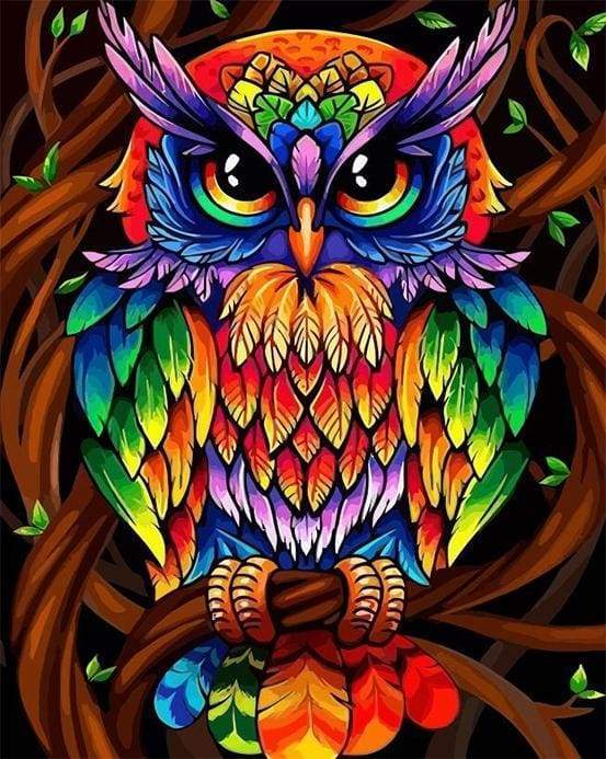 Colorful Owl Free Shipping - Paintarthub