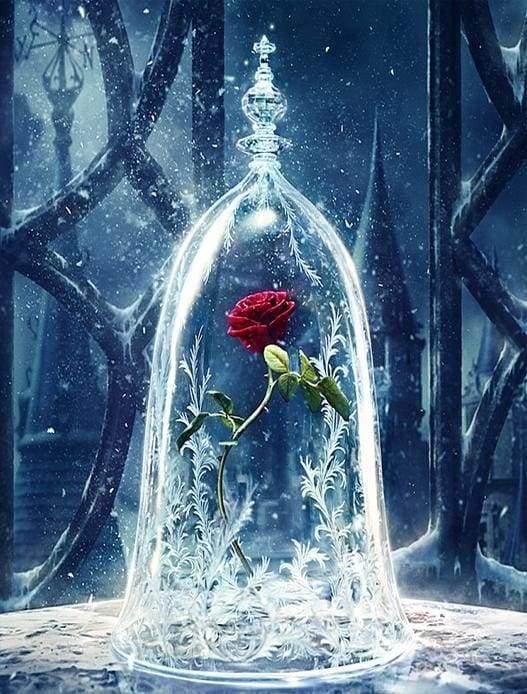 Enchanted Rose Under Glass Paint by Numbers for adults