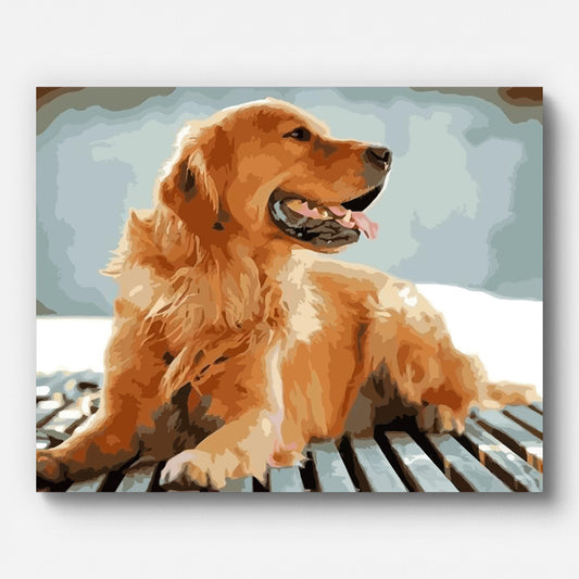 Golden Retriever Dog Paint by Numbers shown on a stretched canvas