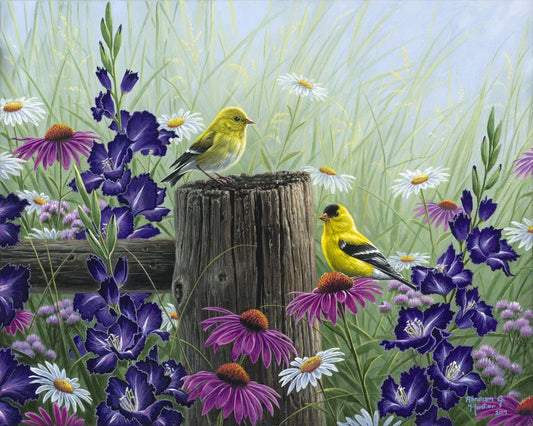 Goldfinch Birds Paint by Number Free Shipping - Paintarthub