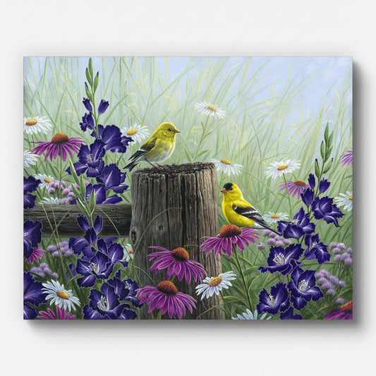 Goldfinches Among Wildflowers Paint by Numbers shown on a stretched canvas