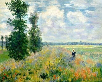 Monet Poppy Fields near Argenteuil Paint by Numbers for adults