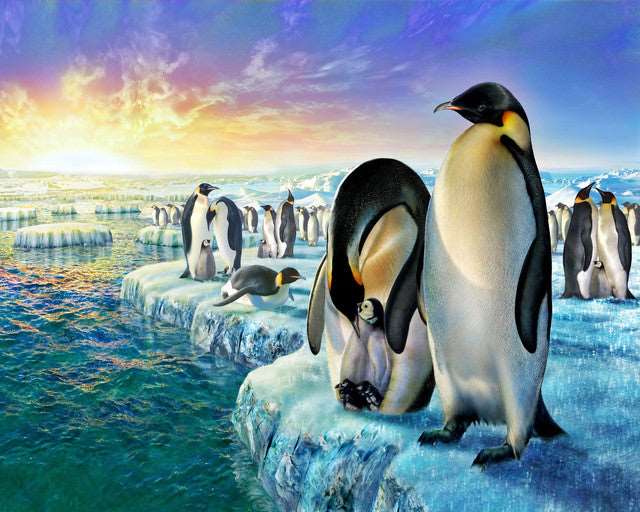 Penguins on Ice Floe Free Shipping - Paintarthub