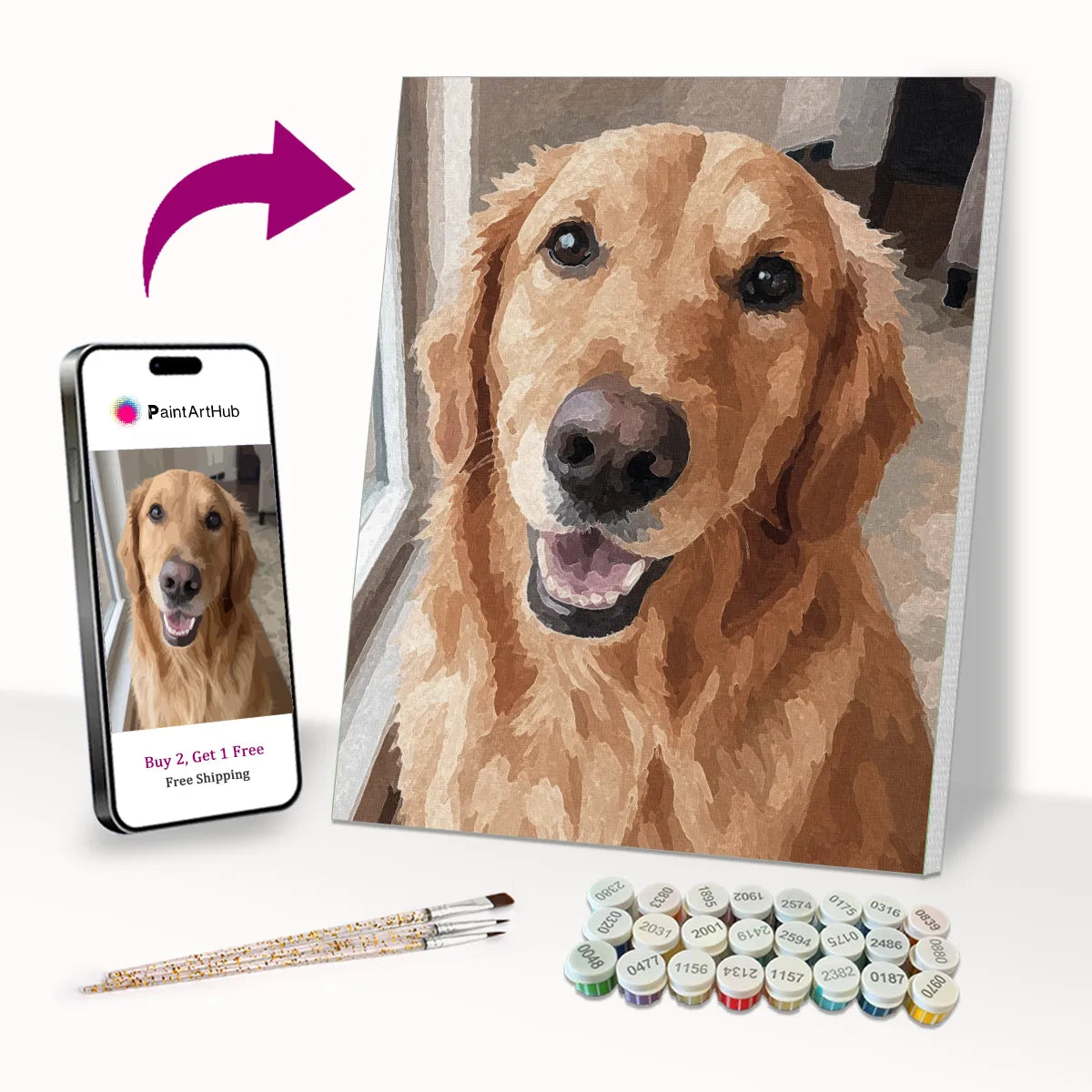 Golden retriever photo turned into a personalised pet paint by numbers kit