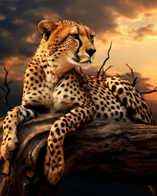 Resting Cheetah Paint by Numbers Free Shipping - Paintarthub