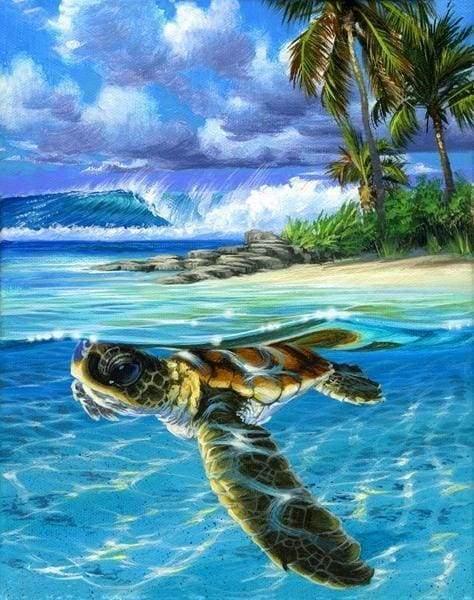 Sea Turtle in Clear Water Paint by Numbers for adults