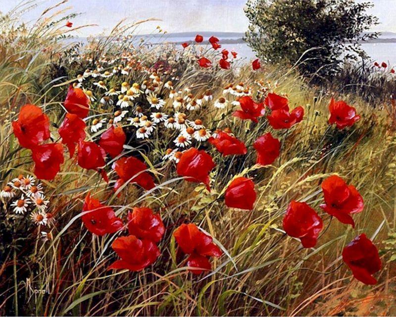 Wildflowers in the Countryside Paint by Numbers for adults