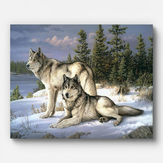 Wolf Couple in Snow Paint by Numbers shown on a stretched canvas