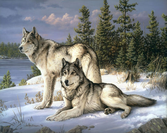 Wolves Couple in Snow Free Shipping - Paintarthub